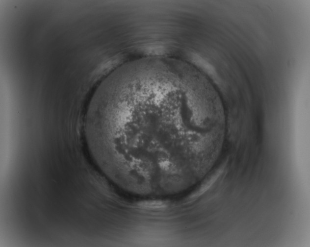 X0000088220161200705221811