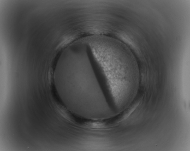 X0000088220165200705221811