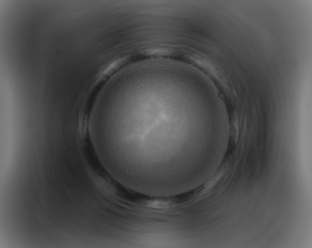 X0000088220168200705221811