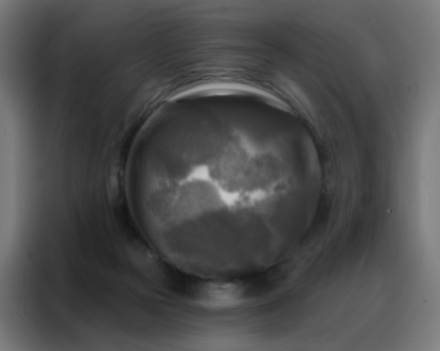 X0000088220169200705221811