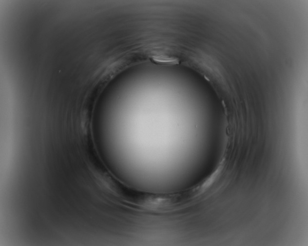 X0000088220174200705221811