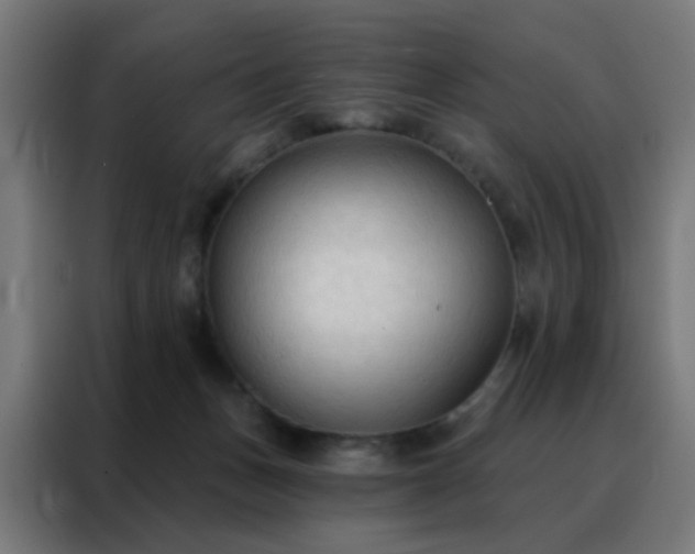 X0000088220175200705221811