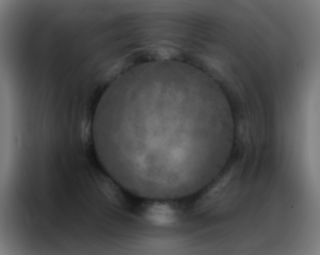 X0000088220177200705221811