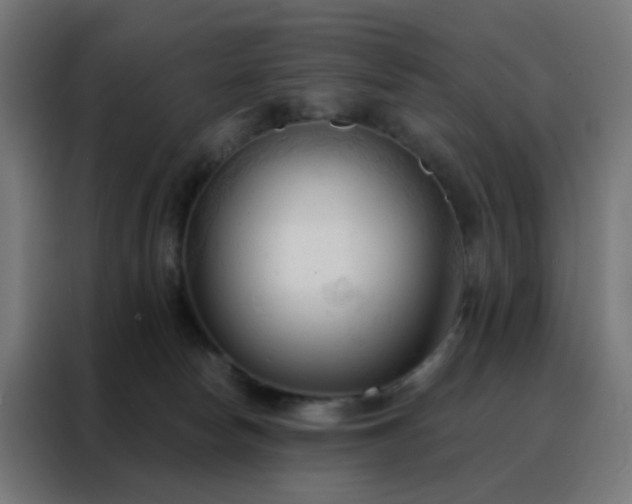 X0000088220178200705221811