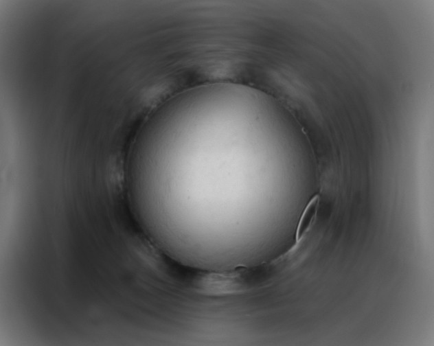 X0000088220179200705221811