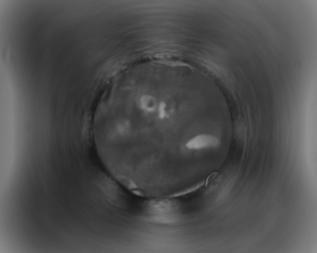 X0000088220181200705221811