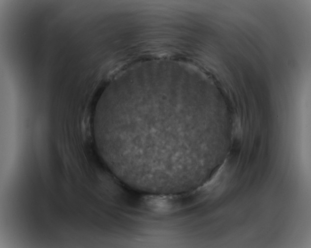 X0000088220182200705221811