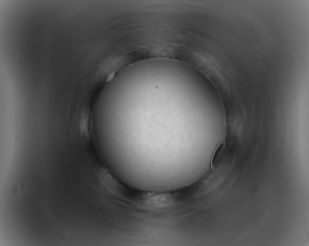 X0000088220185200705221811