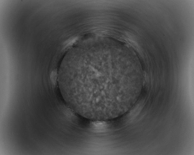 X0000088220189200705221811