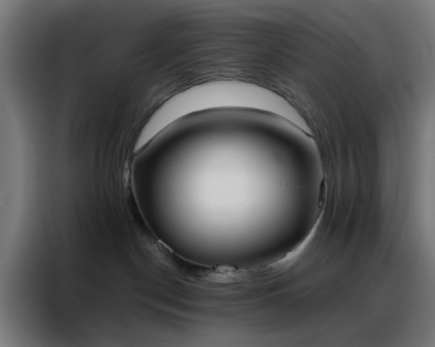 X0000088220190200705221811