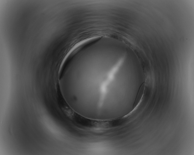 X0000088220191200705221811