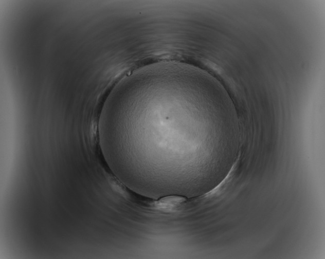 X0000088220192200705221811