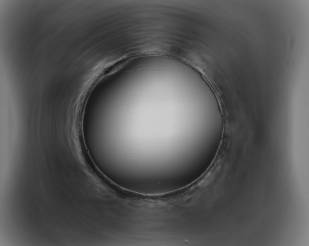 X0000088220193200705221810