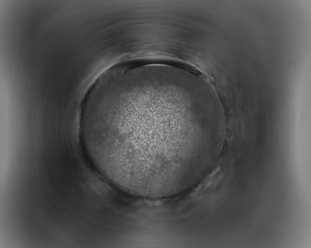 X0000088220194200705221810