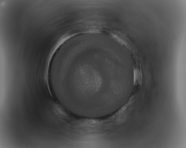 X0000088220195200705221810