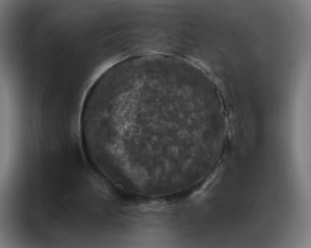 X0000088220196200705221810