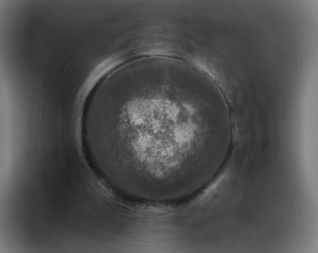 X0000088220199200705221810