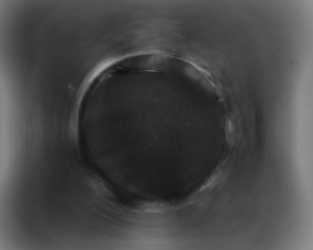 X0000088220200200705221810