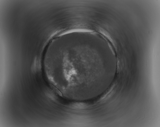 X0000088220203200705221810