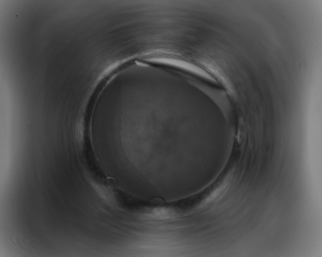 X0000088220204200705221810