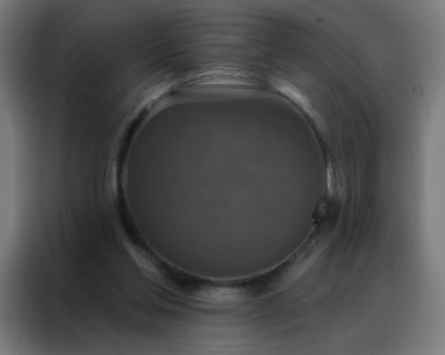 X0000088220205200705221810