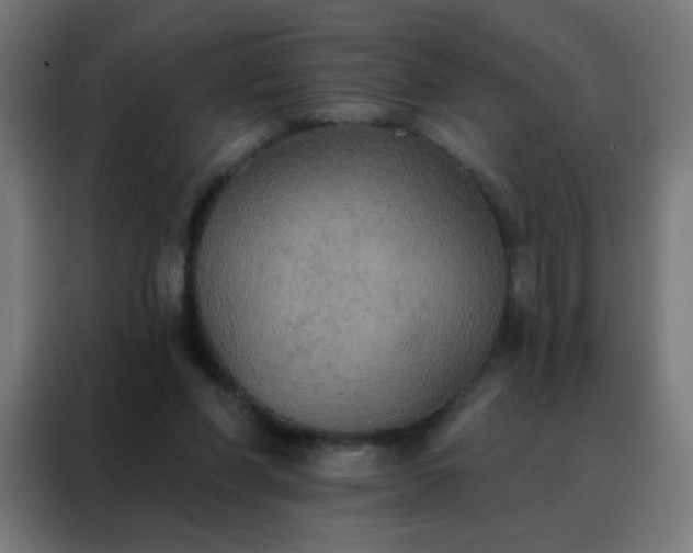 X0000088220206200705221810