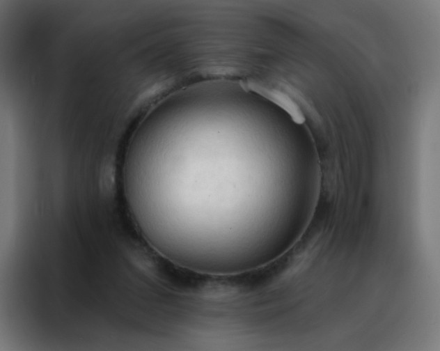 X0000088220207200705221810