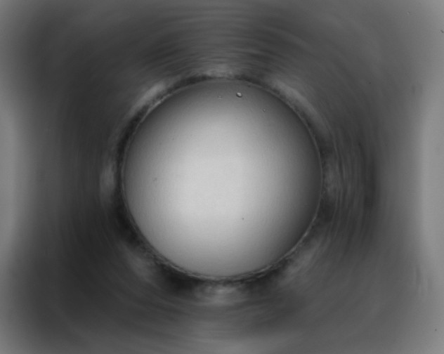 X0000088220208200705221810