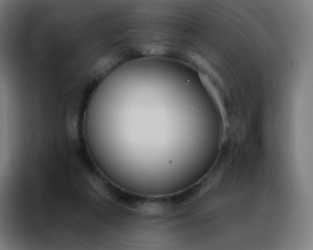 X0000088220209200705221810