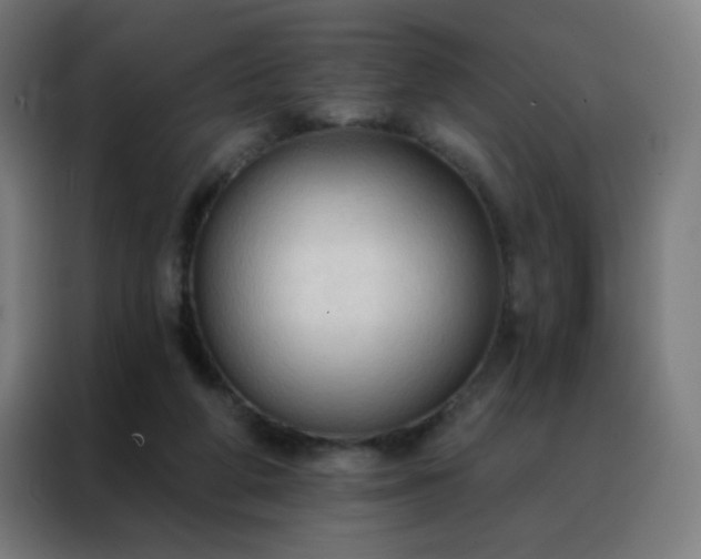 X0000088220210200705221810