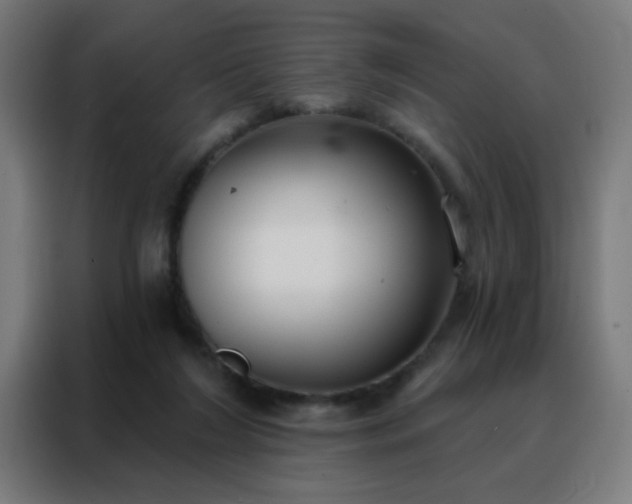 X0000088220212200705221810