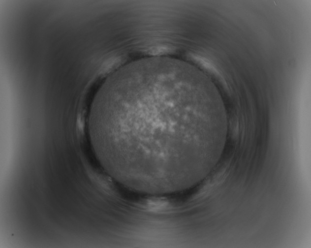 X0000088220214200705221810