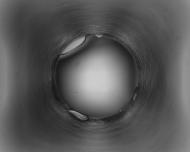 X0000088220215200705221810