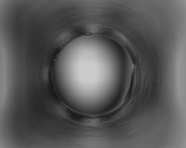 X0000088220217200705221810