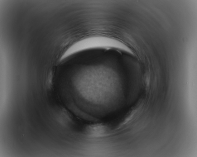 X0000088220219200705221810