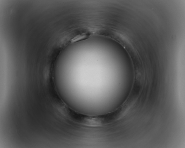 X0000088220221200705221810