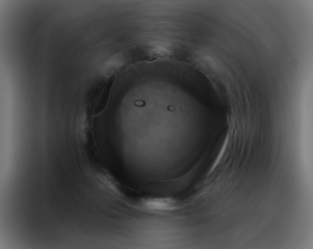 X0000088220223200705221810