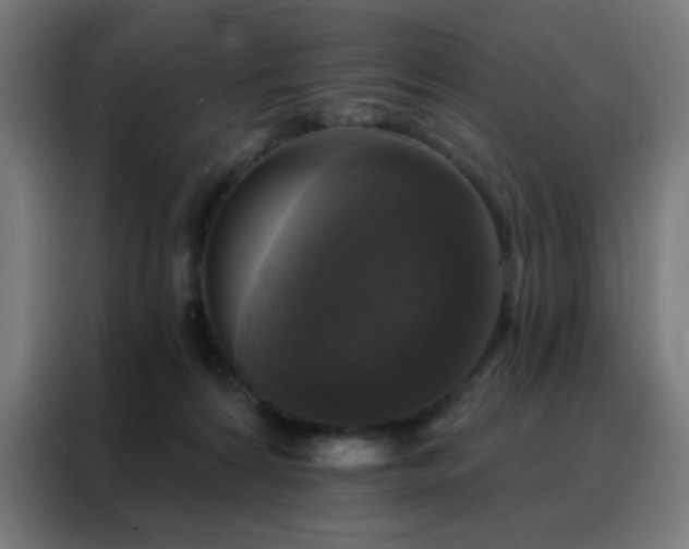 X0000088220224200705221810