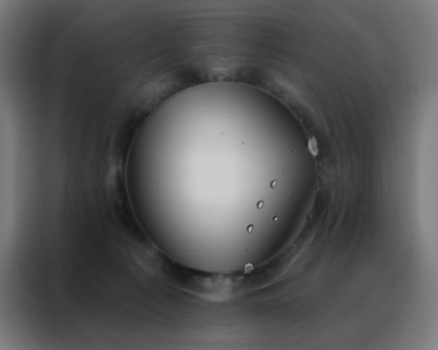 X0000088220225200705221810