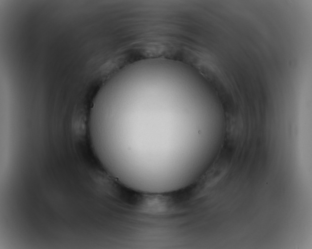 X0000088220226200705221810