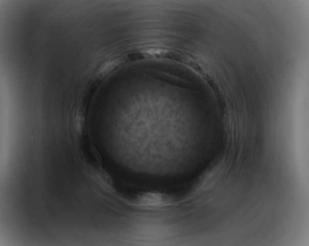 X0000088220227200705221810