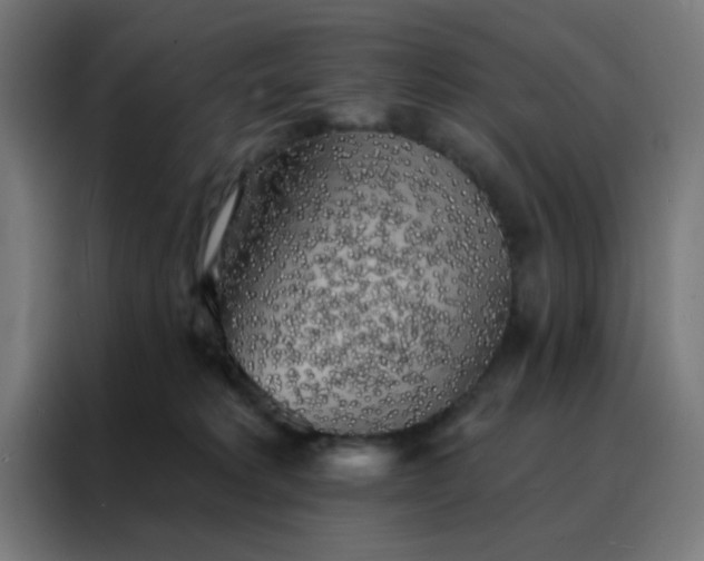 X0000088220229200705221810