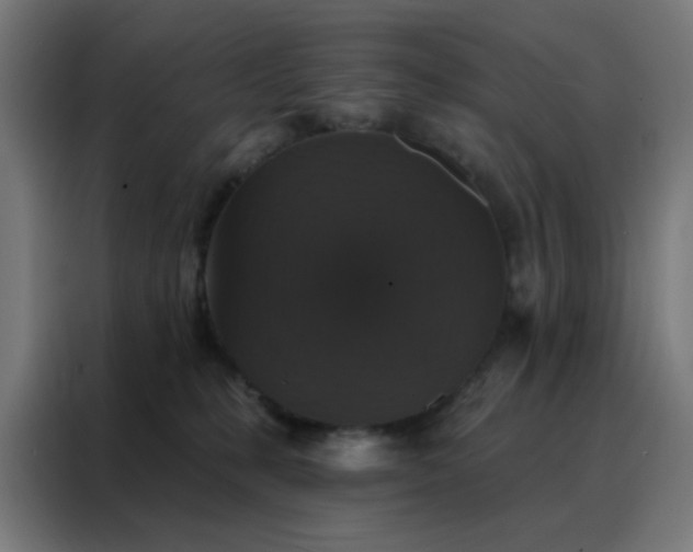 X0000088220231200705221810