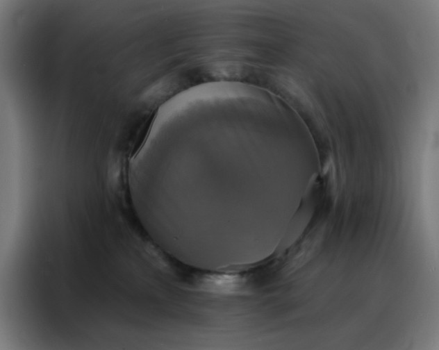 X0000088220233200705221810