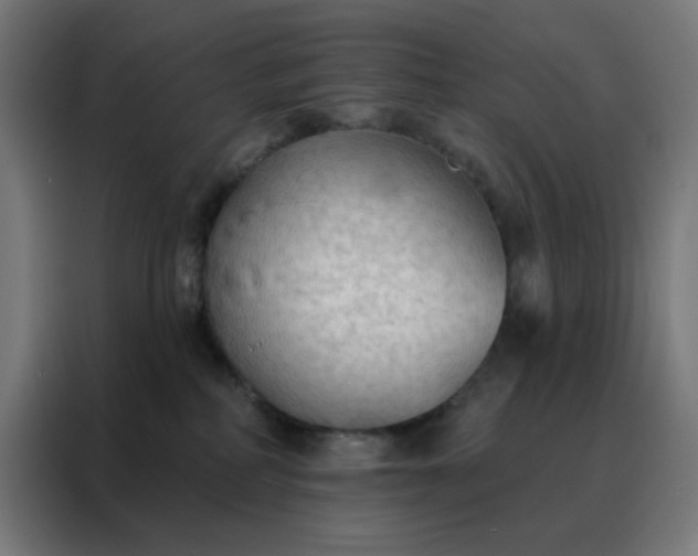 X0000088220234200705221810