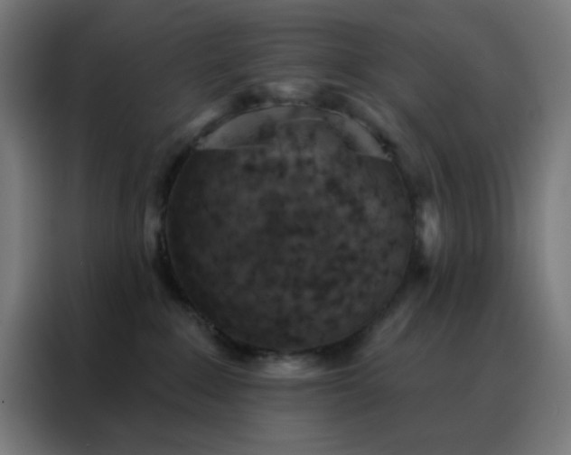 X0000088220235200705221810