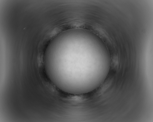 X0000088220236200705221810