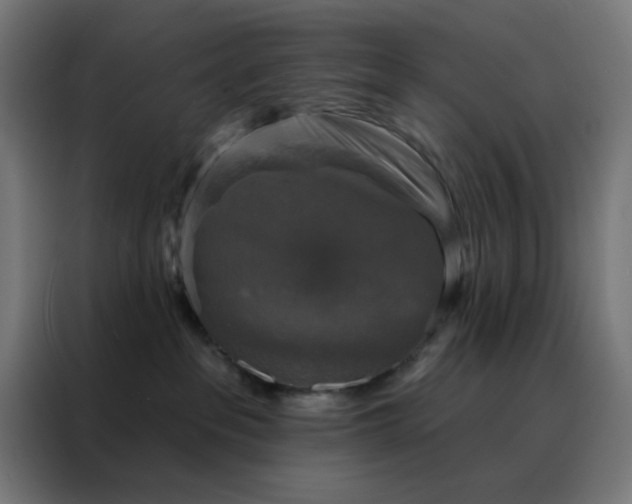 X0000088220237200705221810