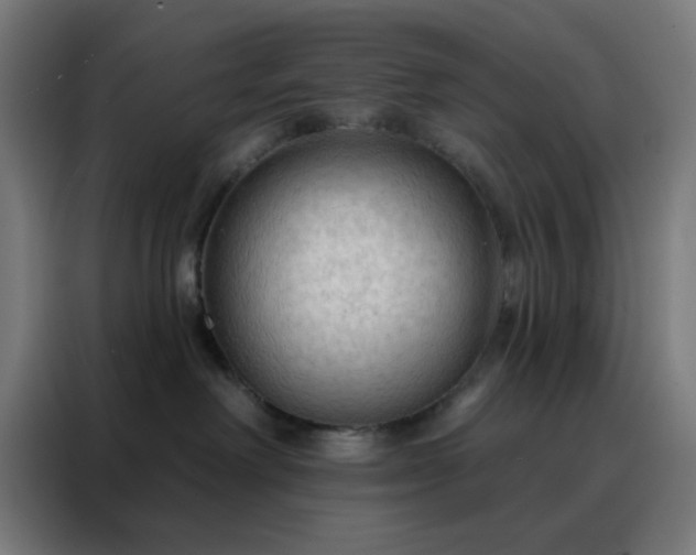 X0000088220238200705221810