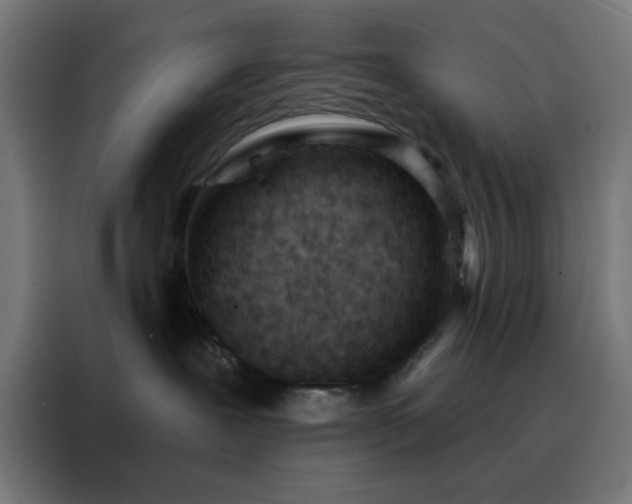 X0000088220239200705221810